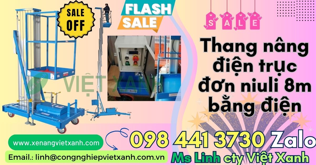 Thang nâng điện trục đơn 8m 125kg