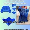 Pallet-nhua-ke-hang-600x600x100mm-2