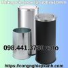 thung-rac-inox-nap-lat-tron-300x610mm-1