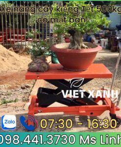 Xe-nang-ban-nang-canh-canh-tet