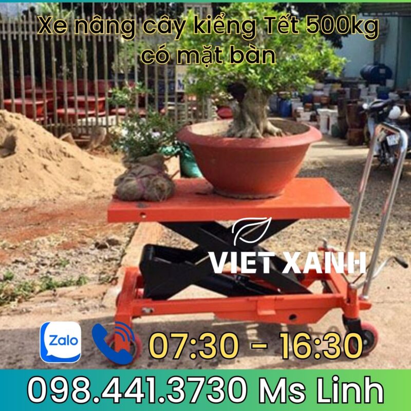 Xe-nang-ban-nang-canh-canh-tet