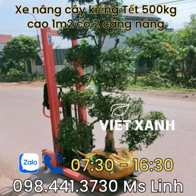 Xe-nang-cao-1m2-nang-cay-canh-tet