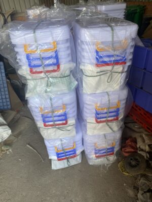 Thùng nhựa trong 15 lít có nắp và quai màu, đóng kiện tại kho Việt Xanh